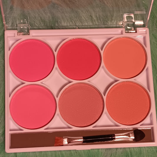 Amuse Got Me Blushin Blush Pallette